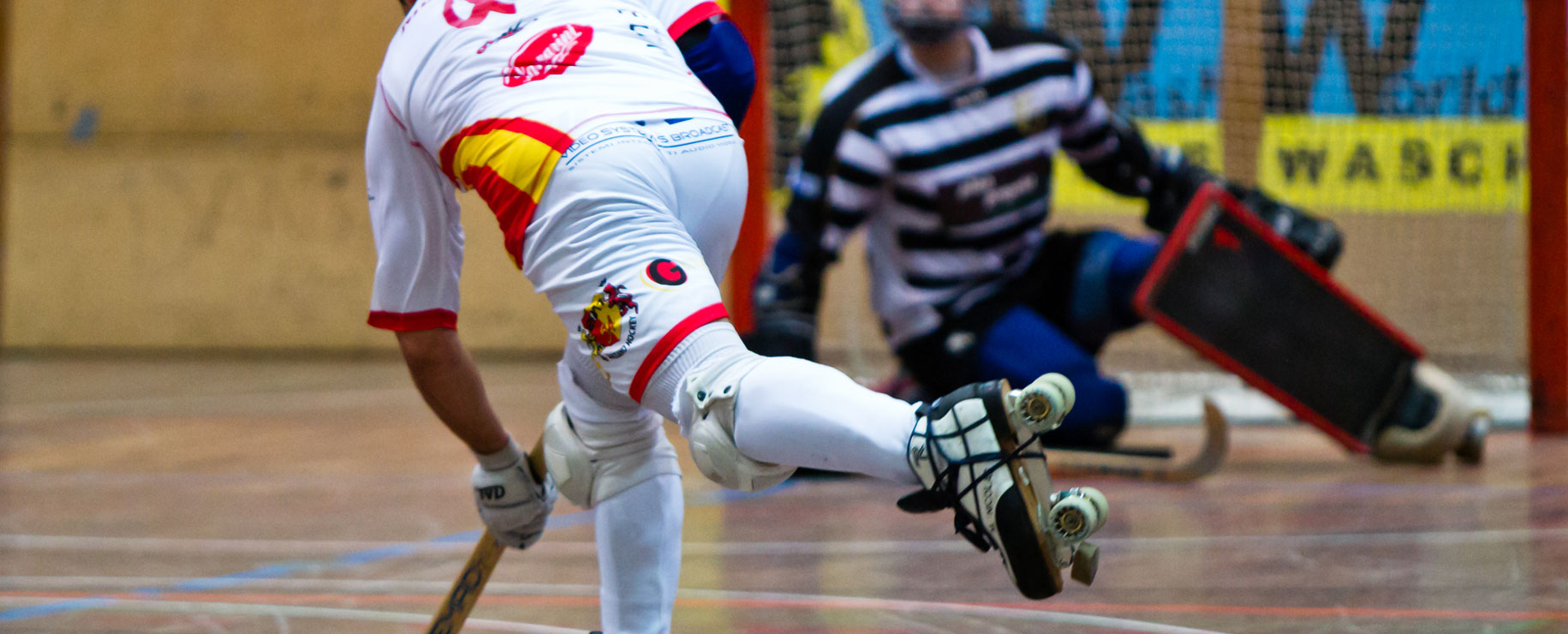 rink roller hockey